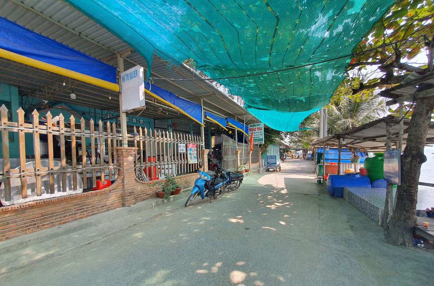 Ngất ngây vẻ đẹp xã đảo Tiên Hải ảnh 14