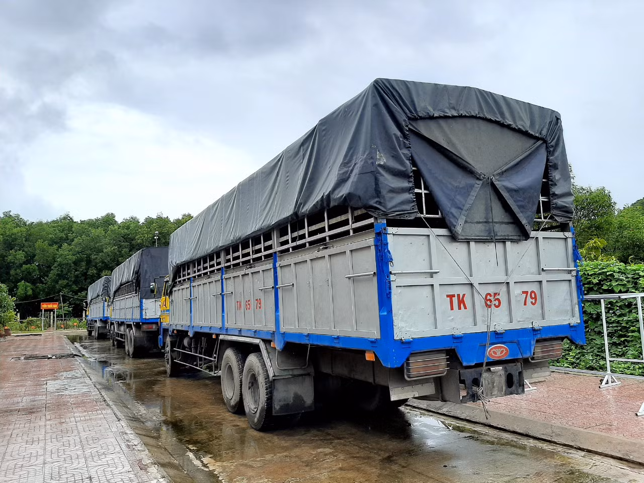 Tạm giữ 3 xe tải dùng biển kiểm soát quân sự giả chở 2.700 can&nbsp;dầu ăn ảnh 2