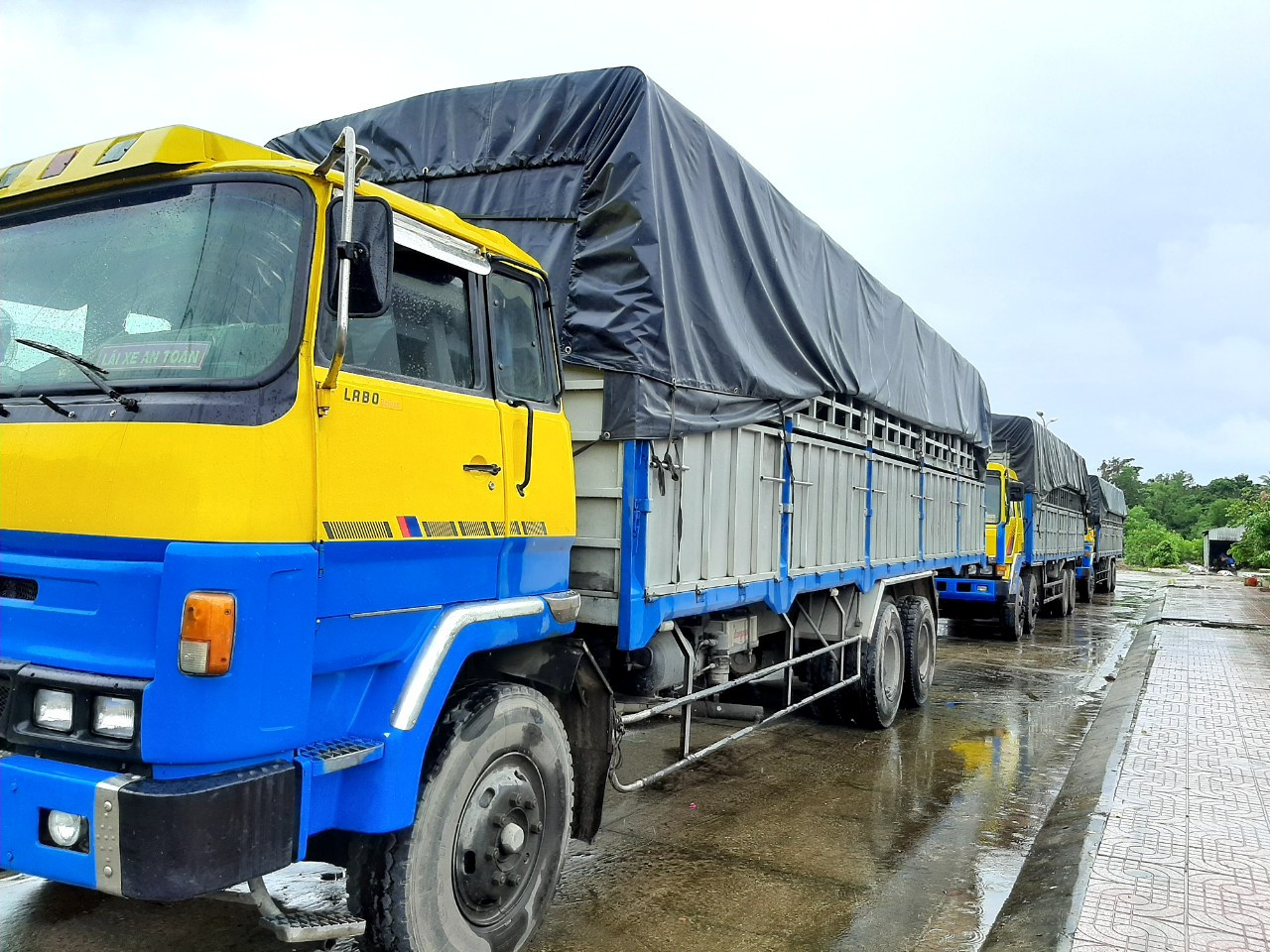 Tạm giữ 3 xe tải dùng biển kiểm soát quân sự giả chở 2.700 can&nbsp;dầu ăn ảnh 1