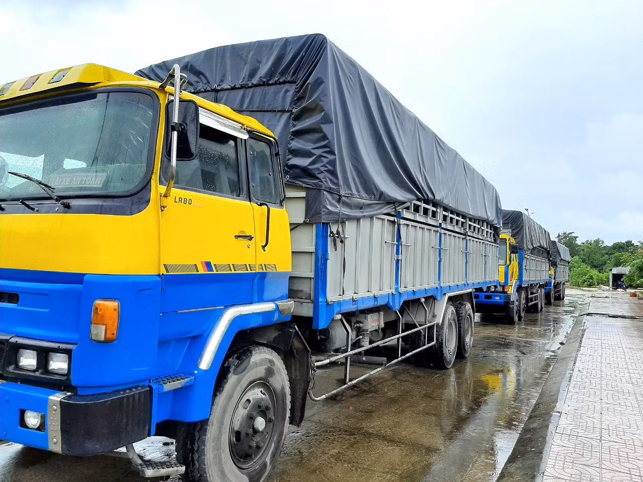 Tạm giữ 3 xe tải dùng biển kiểm soát quân sự giả chở 2.700 can&nbsp;dầu ăn ảnh 1