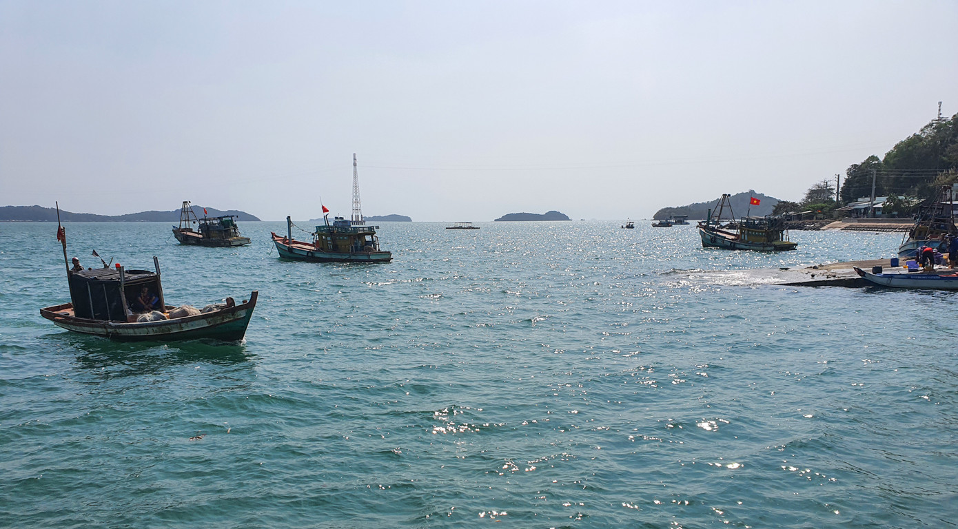 Ngất ngây vẻ đẹp xã đảo Tiên Hải ảnh 8