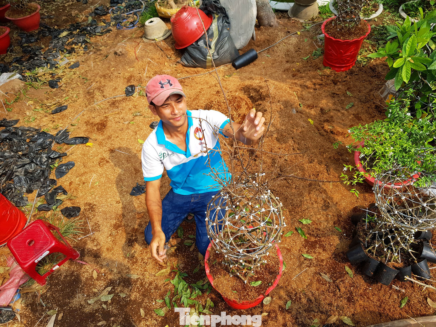 Chàng trai 9x uốn mai vàng thành lộc bình tiền triệu 'cháy’ hàng dịp Tết ảnh 7