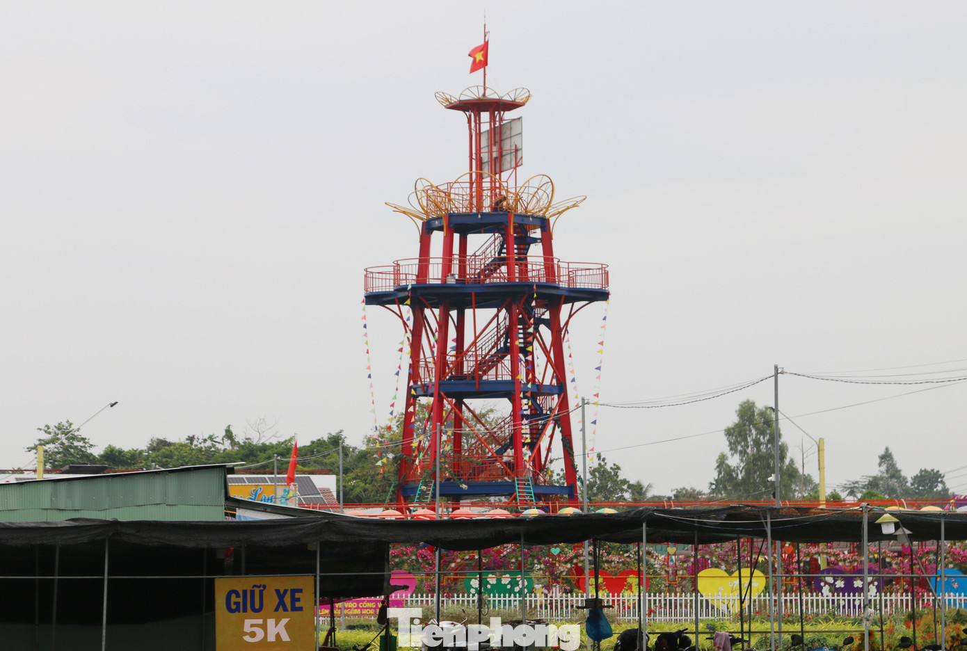 Làng hoa lớn nhất miền Tây đìu hiu, khách thưa thớt ảnh 12