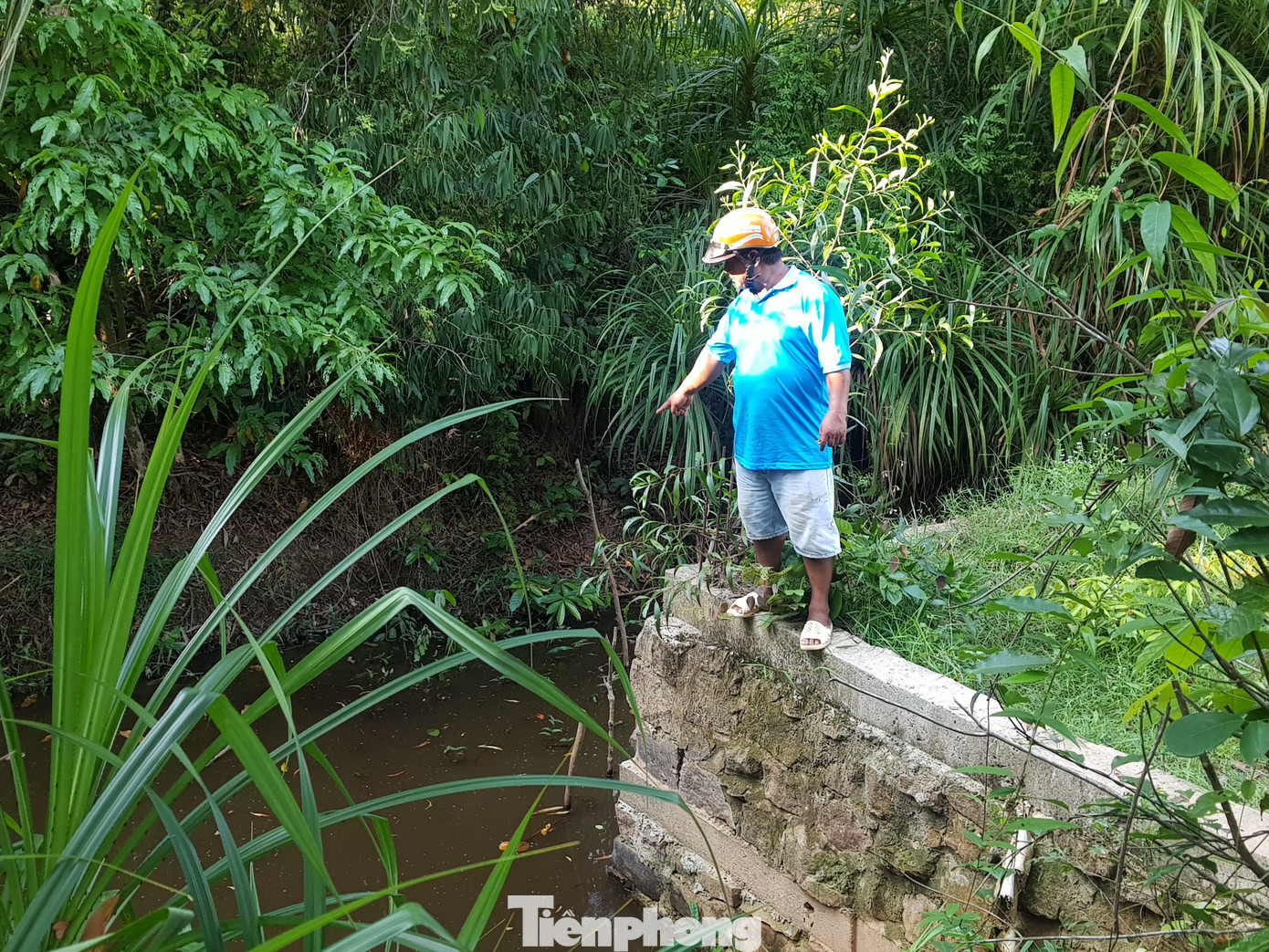 Cận cảnh đảo ngọc Phú Quốc bị 'băm nát', nhiều cán bộ bị đề nghị xử lý ảnh 1