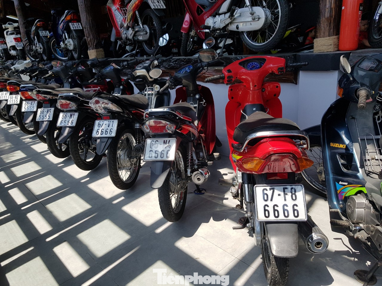 Mê mẩn bộ sưu tập 500 chiếc xe máy biển số 'khủng' ảnh 7