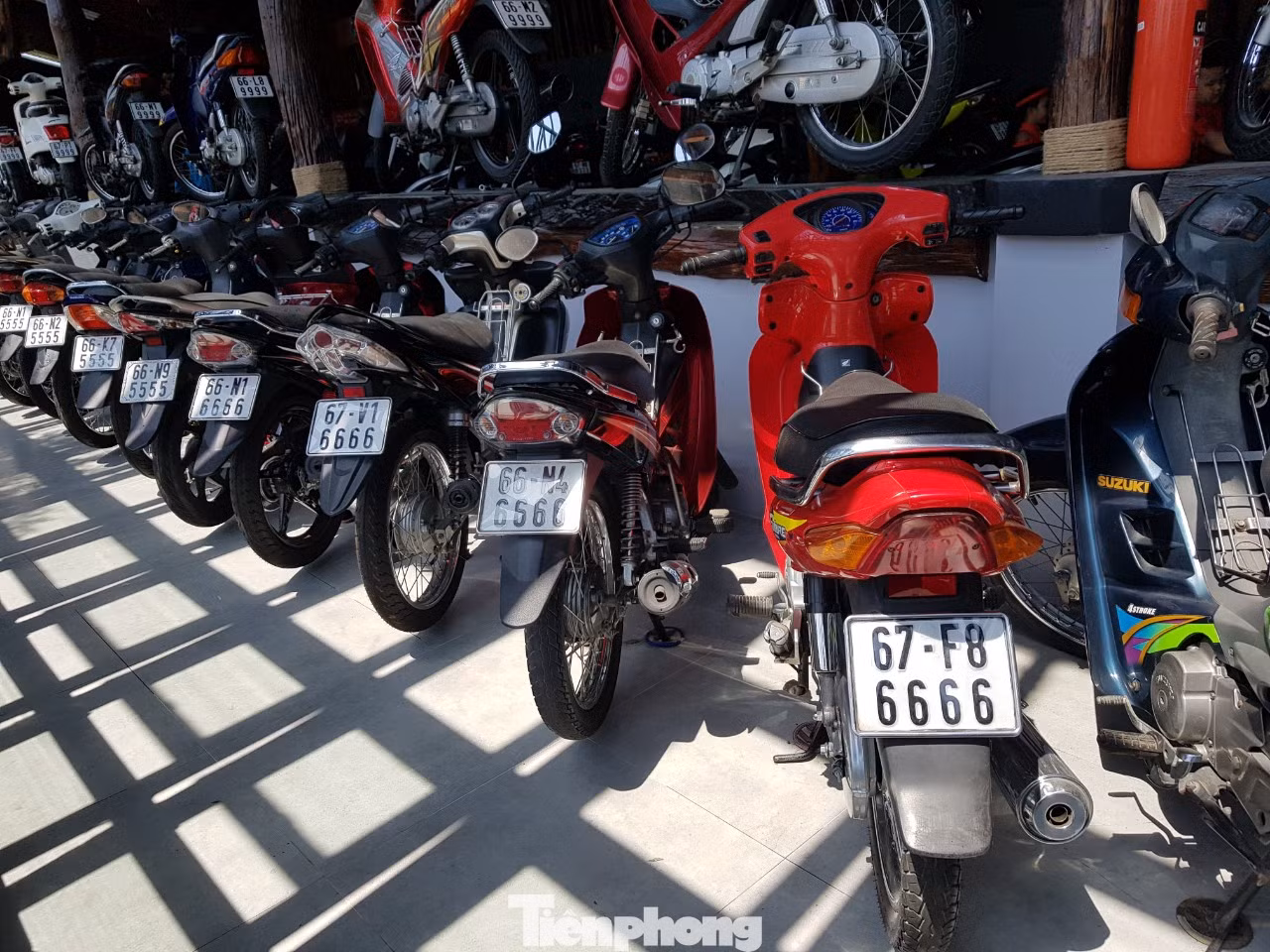 Mê mẩn bộ sưu tập 500 chiếc xe máy biển số 'khủng' ảnh 7