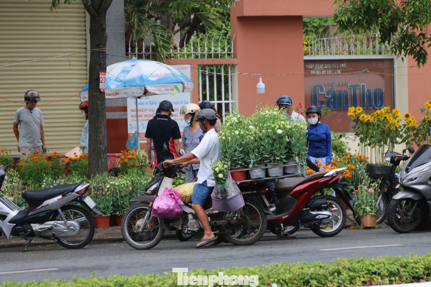Chợ hoa Cần Thơ nhộn nhịp ngày 30 Tết ảnh 6
