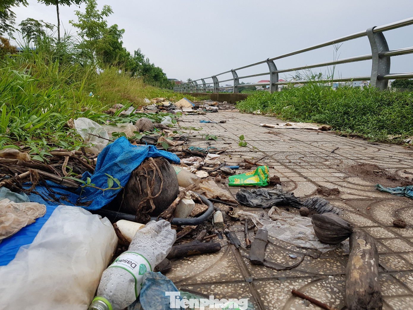 Xót xa công trình hàng trăm tỷ ở Cần Thơ thành nơi ‘chứa’ rác   ảnh 8