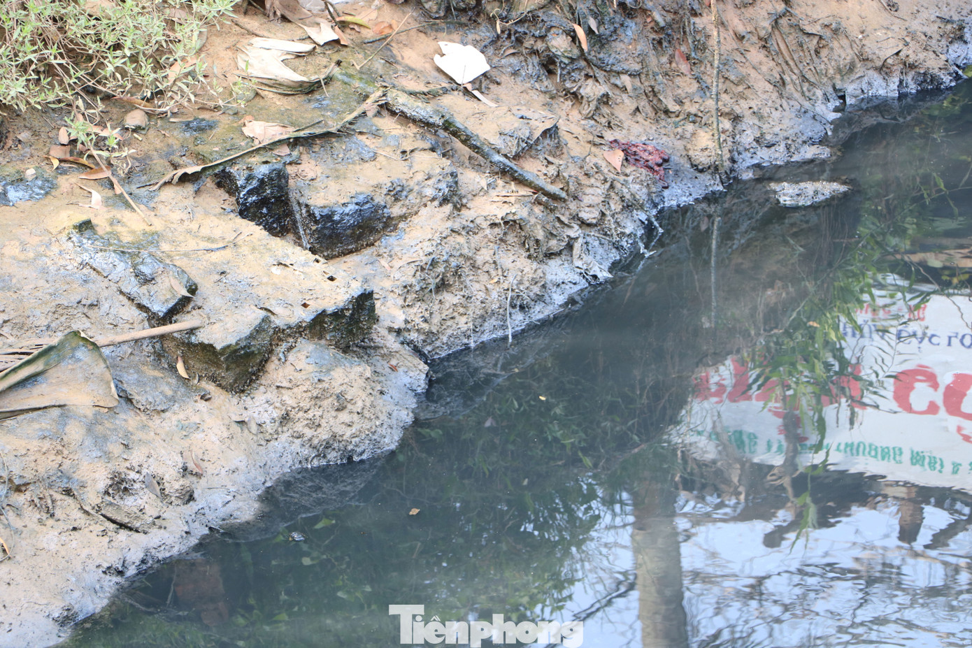 Sông Dương Đông ở Phú Quốc đen ngòm, người dân bị ‘tra tấn’ bởi mùi hôi ảnh 5