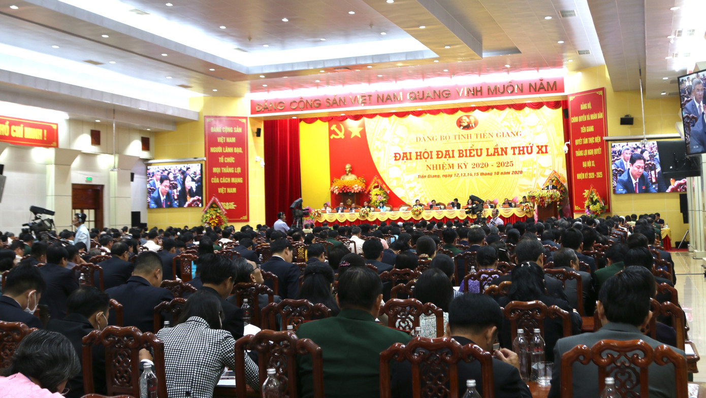 Khai mạc Đại hội Đại biểu Đảng bộ tỉnh Tiền Giang lần thứ XI ảnh 3