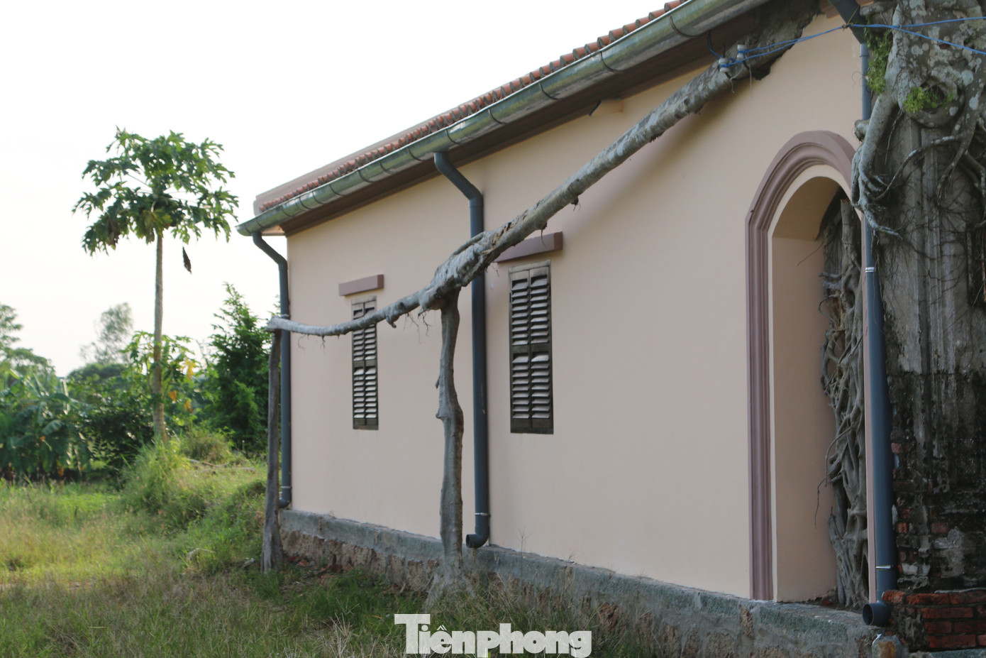 Ngôi đình 100 tuổi 'độc nhất vô nhị' ở miền Tây có 2 cây bồ đề mọc trên mái ảnh 14
