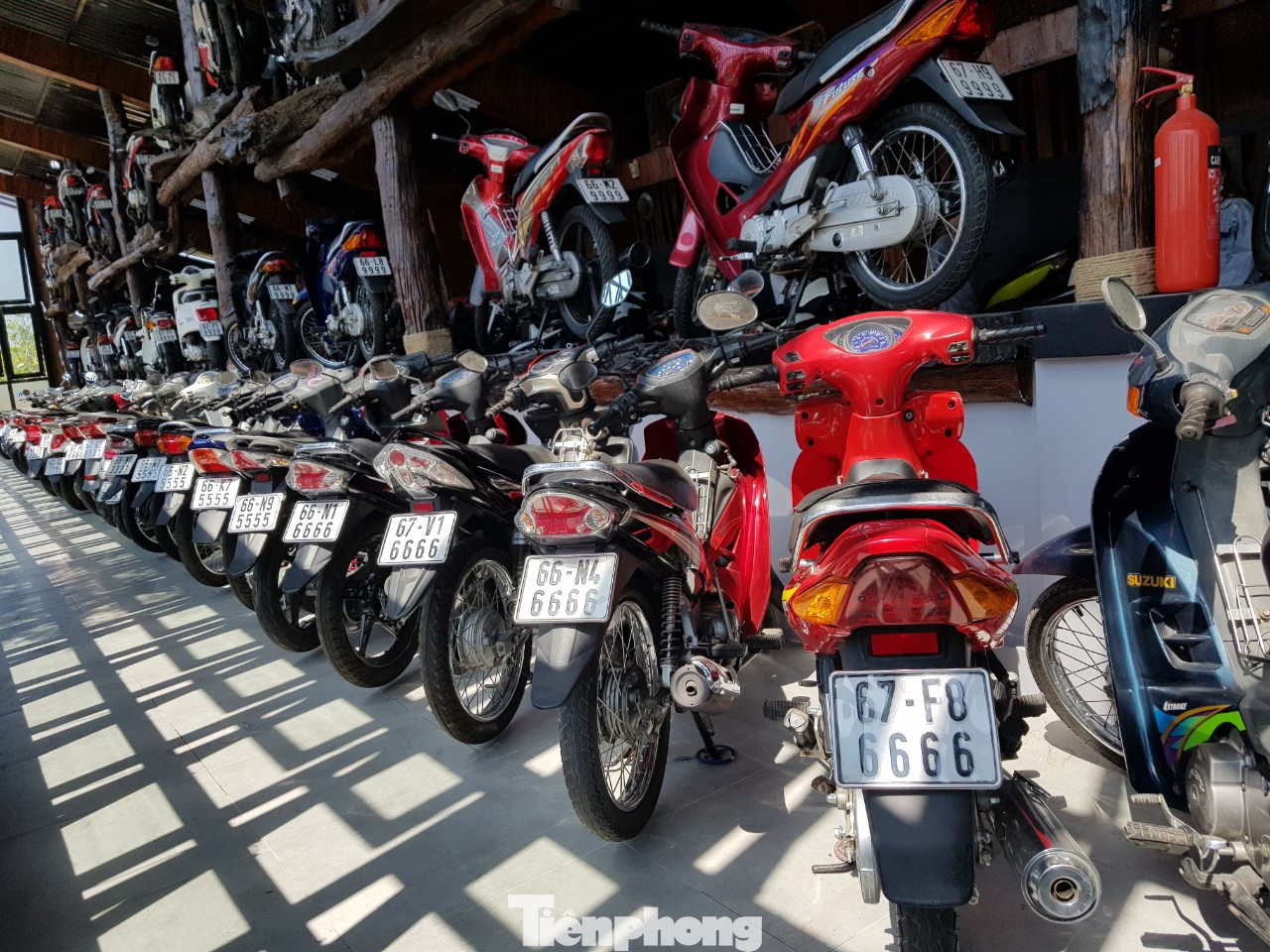 Mê mẩn bộ sưu tập 500 chiếc xe máy biển số 'khủng' ảnh 13