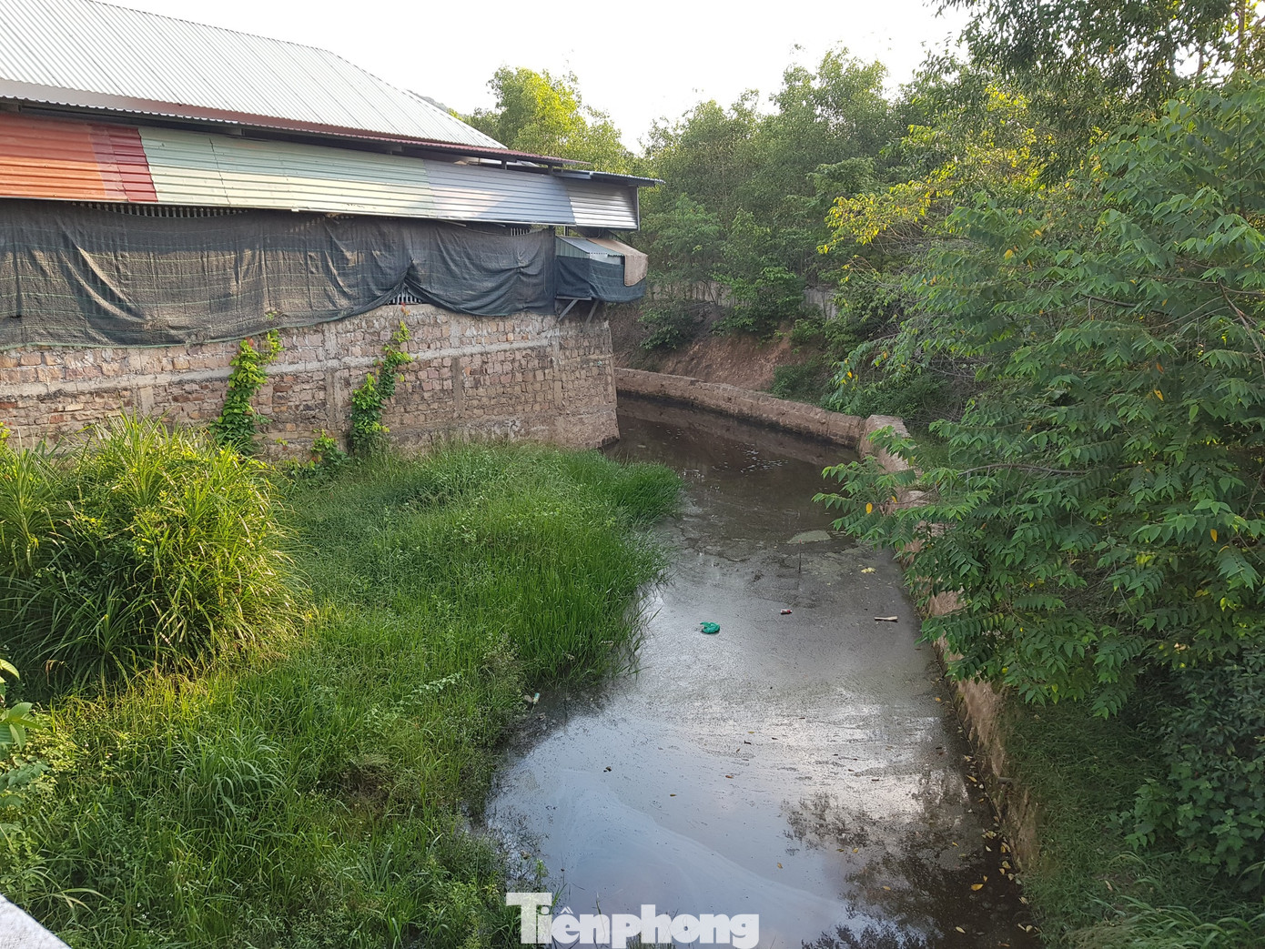 Cận cảnh đảo ngọc Phú Quốc bị 'băm nát', nhiều cán bộ bị đề nghị xử lý ảnh 10