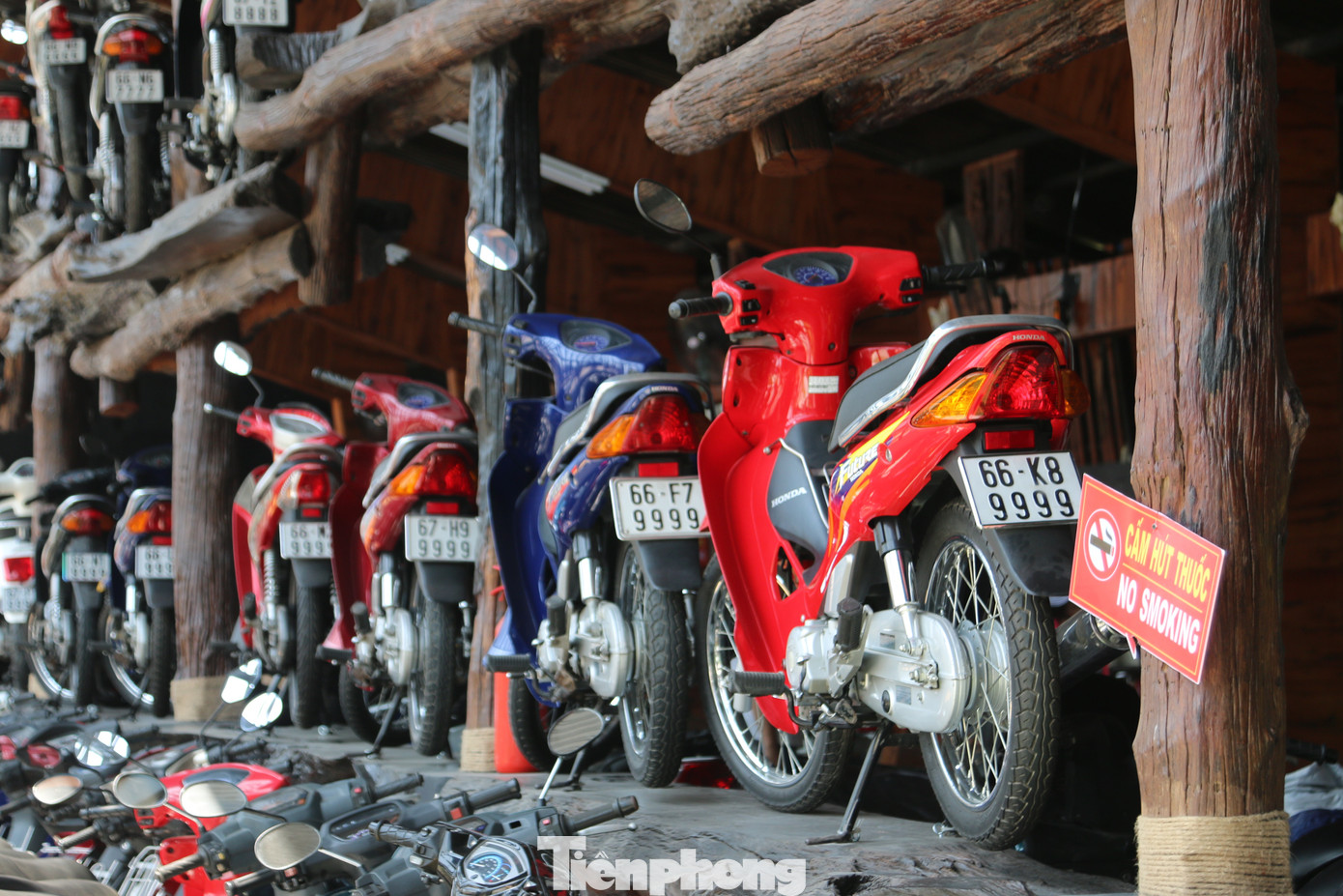 Mê mẩn bộ sưu tập 500 chiếc xe máy biển số 'khủng' ảnh 2