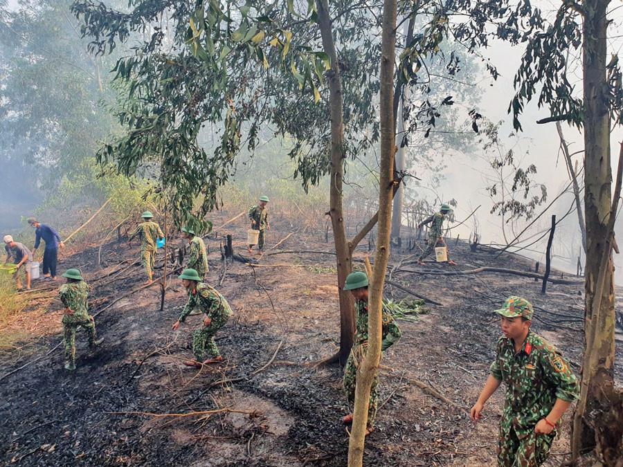 Cháy lớn thiêu rụi hàng chục héc ta rừng tràm ở Kiên Giang ảnh 2