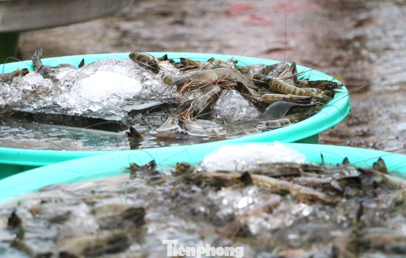 Chợ lớn nhất Phú Quốc nhộn nhịp sau giãn cách xã hội ảnh 5