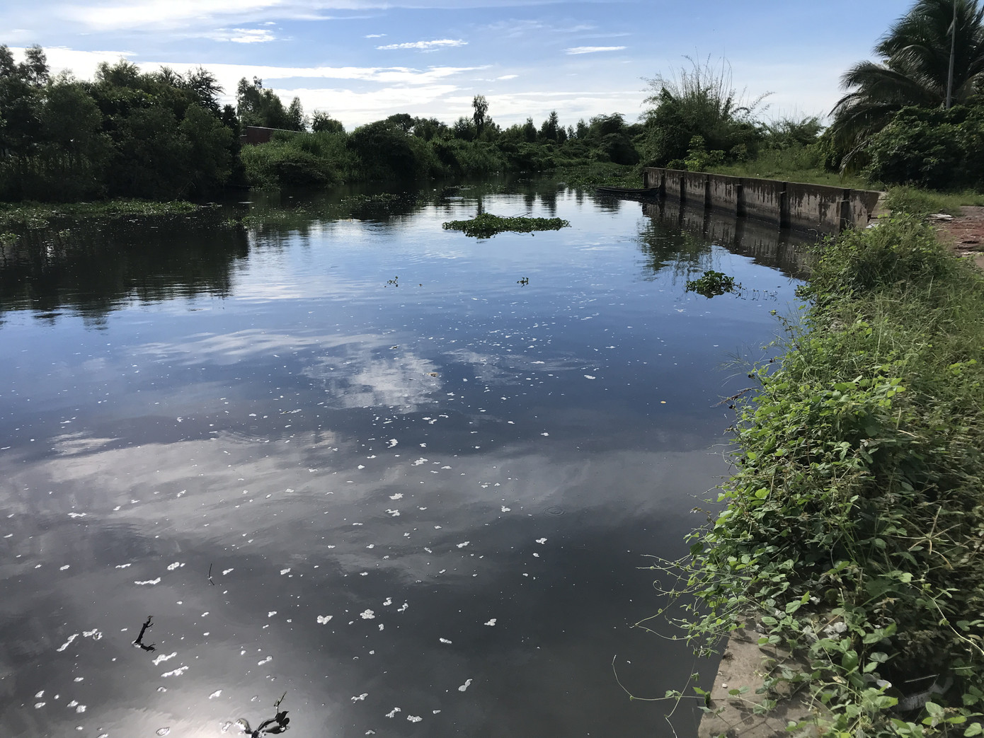 Gây ô nhiễm nghiêm trọng, một doanh nghiệp ở Sóc Trăng bị phạt 1,3 tỷ đồng ảnh 2