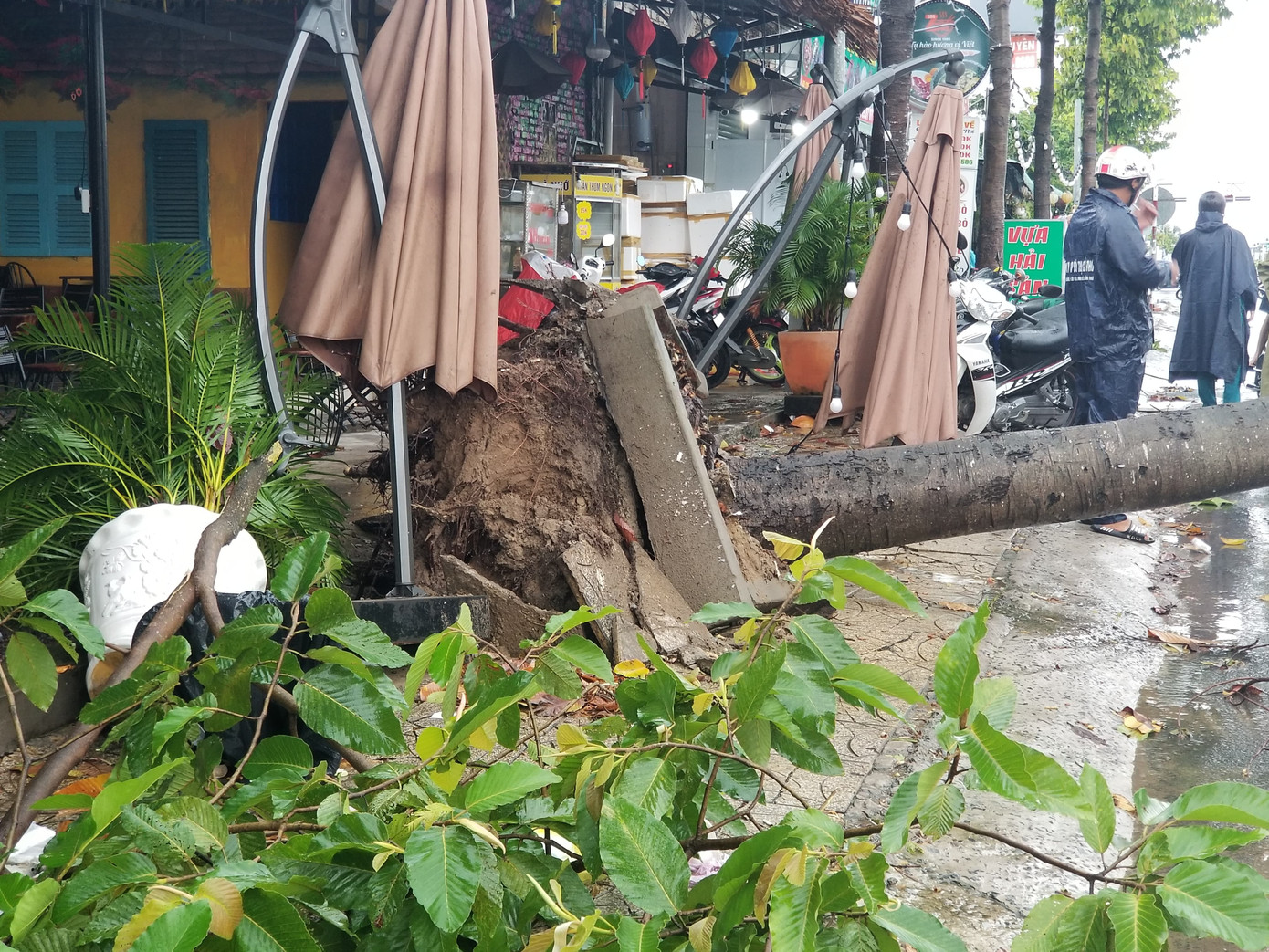 Cần Thơ: Nhiều nhà tốc mái, cây xanh đổ gãy trong trận mưa lớn ảnh 2