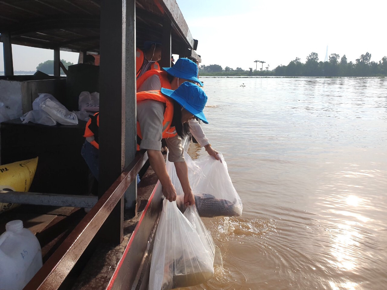 Cần Thơ thả 30.000 con cá giống để tái tạo nguồn lợi thuỷ sản ảnh 1