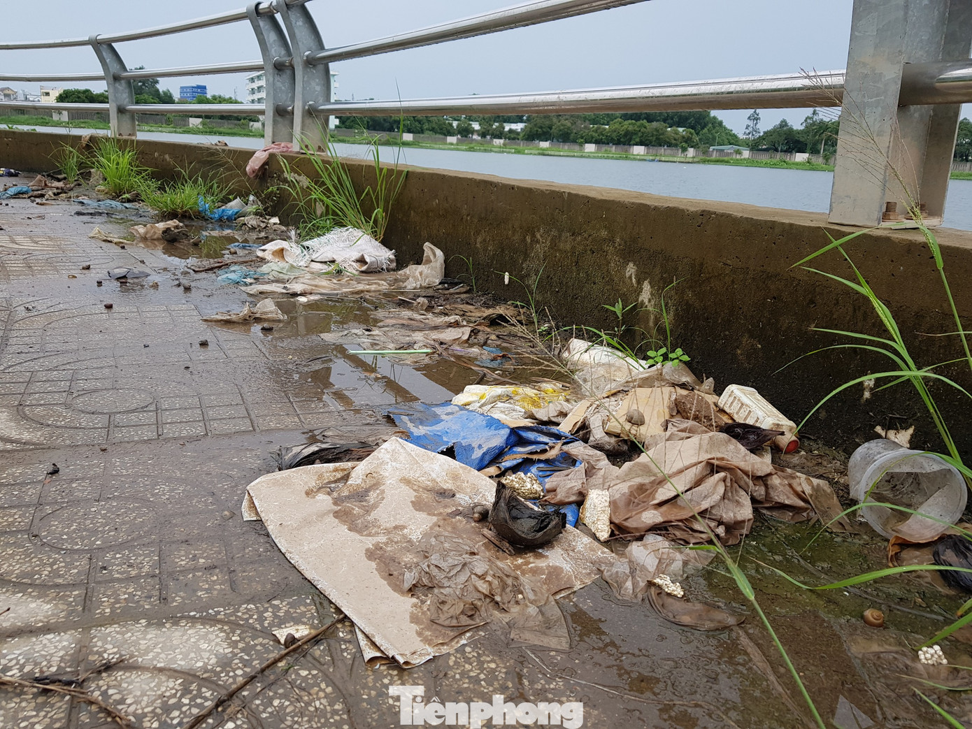 Xót xa công trình hàng trăm tỷ ở Cần Thơ thành nơi ‘chứa’ rác   ảnh 2