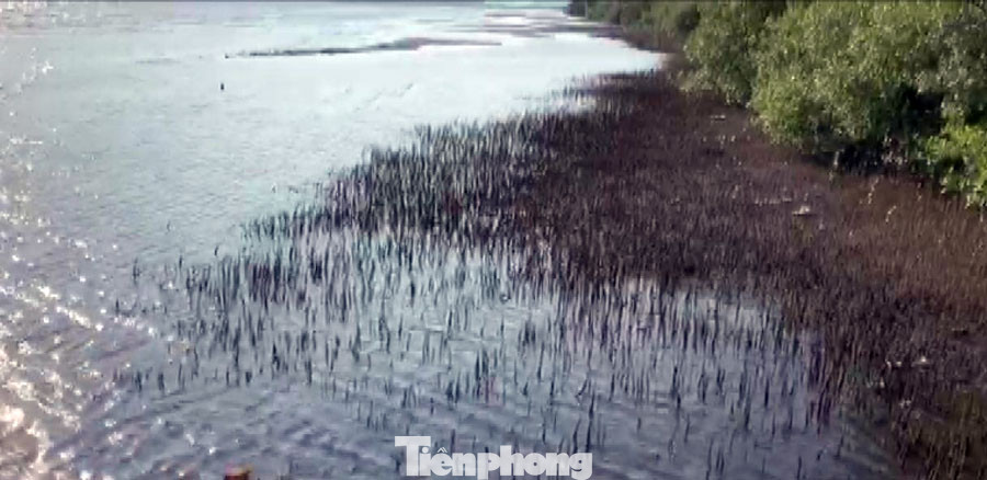 Trung úy biên phòng kể giây phút 'giáp lá cà nghẹt thở' với nhóm buôn lậu ảnh 2