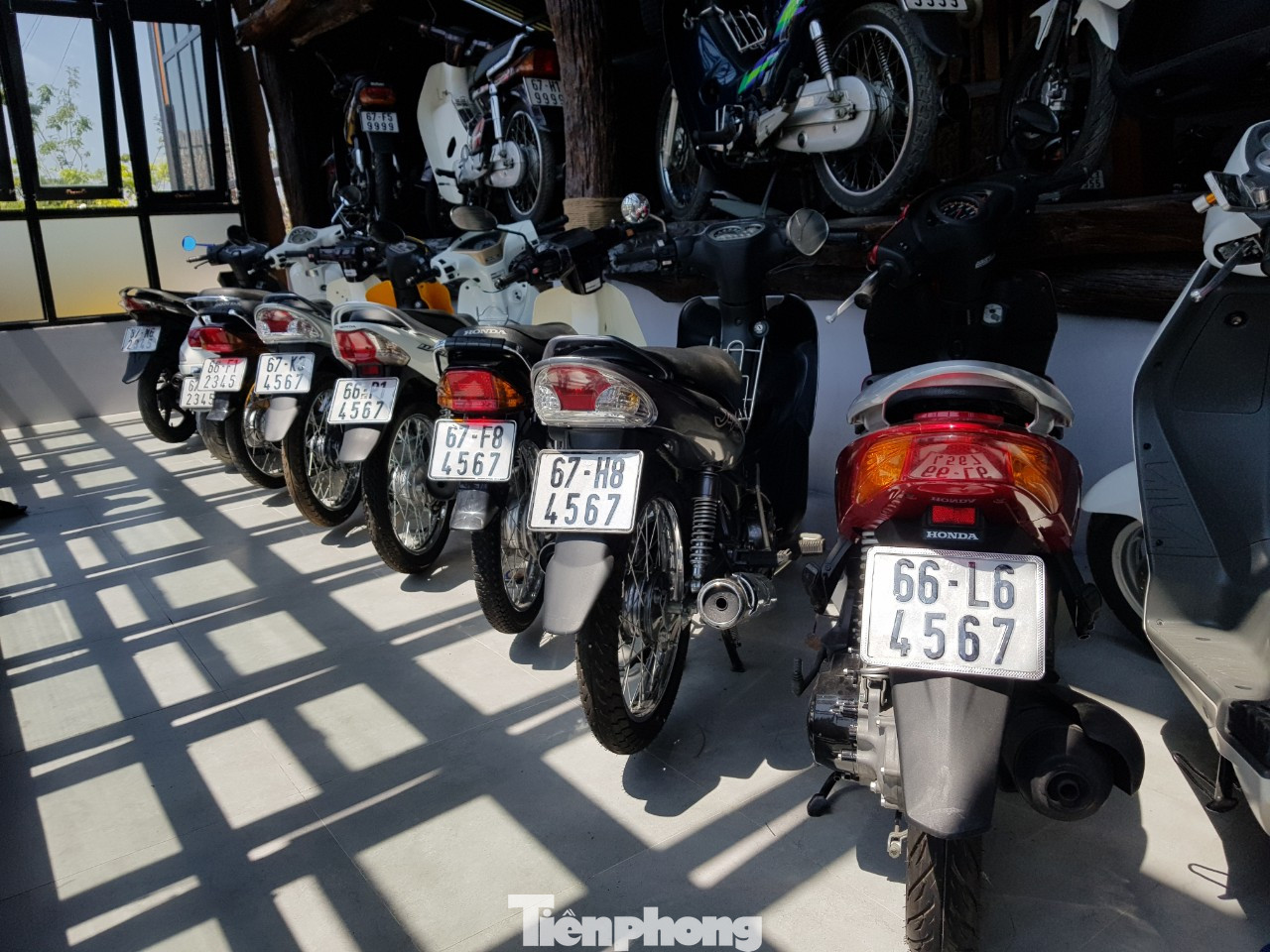 Mê mẩn bộ sưu tập 500 chiếc xe máy biển số 'khủng' ảnh 6