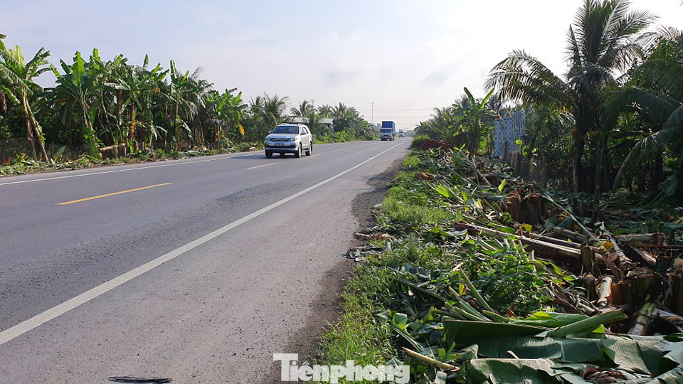 Đầu tư thêm trạm, BOT Cai Lậy dự kiến thu phí từ sau Tết âm lịch ảnh 1