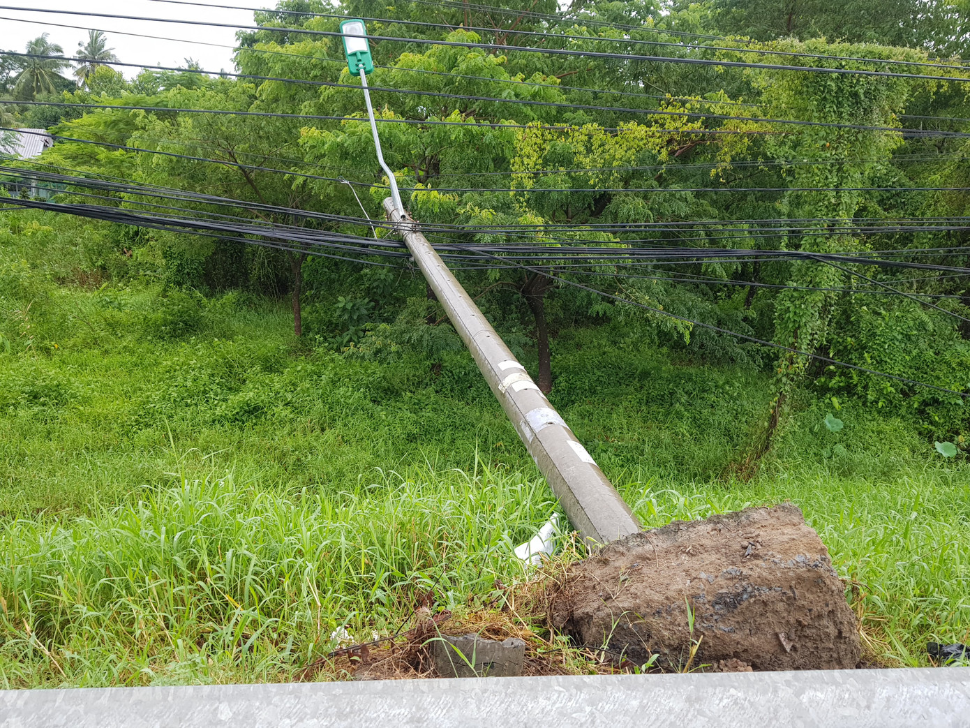 Cần Thơ: Nhiều nhà tốc mái, cây xanh đổ gãy trong trận mưa lớn ảnh 3