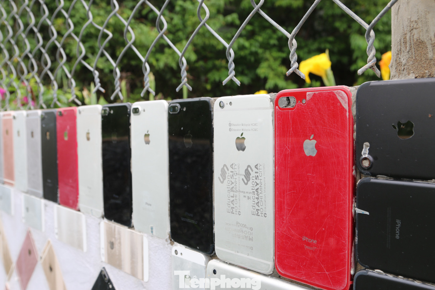 Ngôi nhà có hàng rào 'độc nhất vô nhị' được ốp hơn 2.000 vỏ điện thoại iPhone ảnh 13