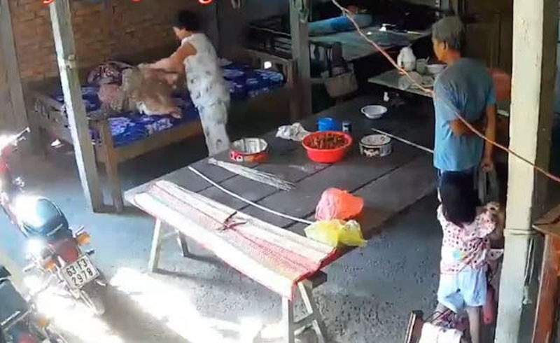 Làm rõ nghi vấn cụ bà 88 tuổi bị con dâu bạo hành ảnh 1