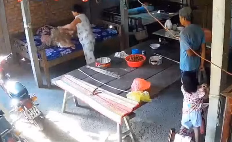 Làm rõ nghi vấn cụ bà 88 tuổi bị con dâu bạo hành ảnh 1