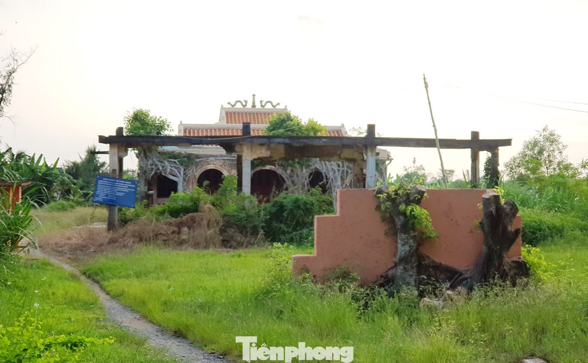 Ngôi đình 100 tuổi 'độc nhất vô nhị' ở miền Tây có 2 cây bồ đề mọc trên mái ảnh 3
