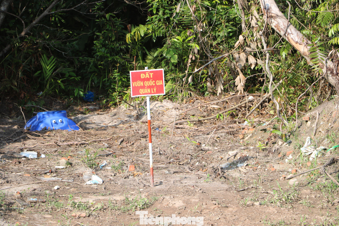 Cận cảnh đảo ngọc Phú Quốc bị 'băm nát', nhiều cán bộ bị đề nghị xử lý ảnh 5