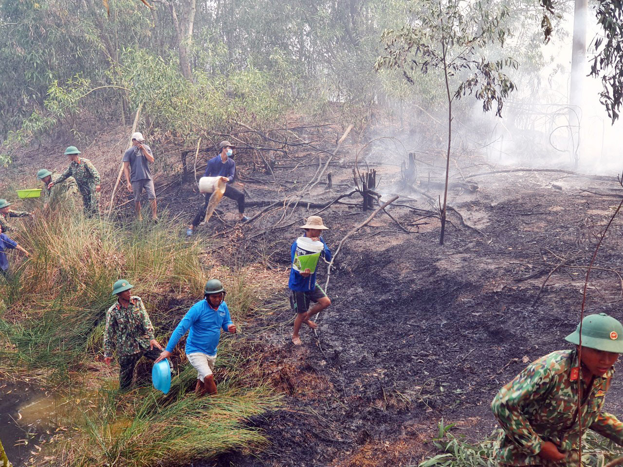 Cháy lớn thiêu rụi hàng chục héc ta rừng tràm ở Kiên Giang ảnh 1
