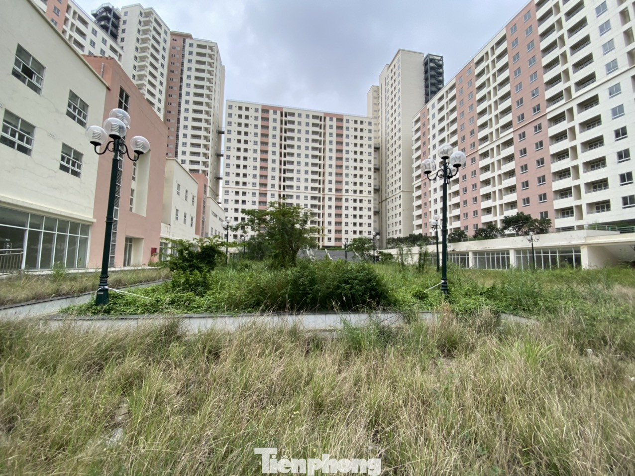 Cận cảnh các khu tái định cư tốn hàng chục tỷ bảo trì nhưng bỏ không ở Sài Gòn ảnh 6