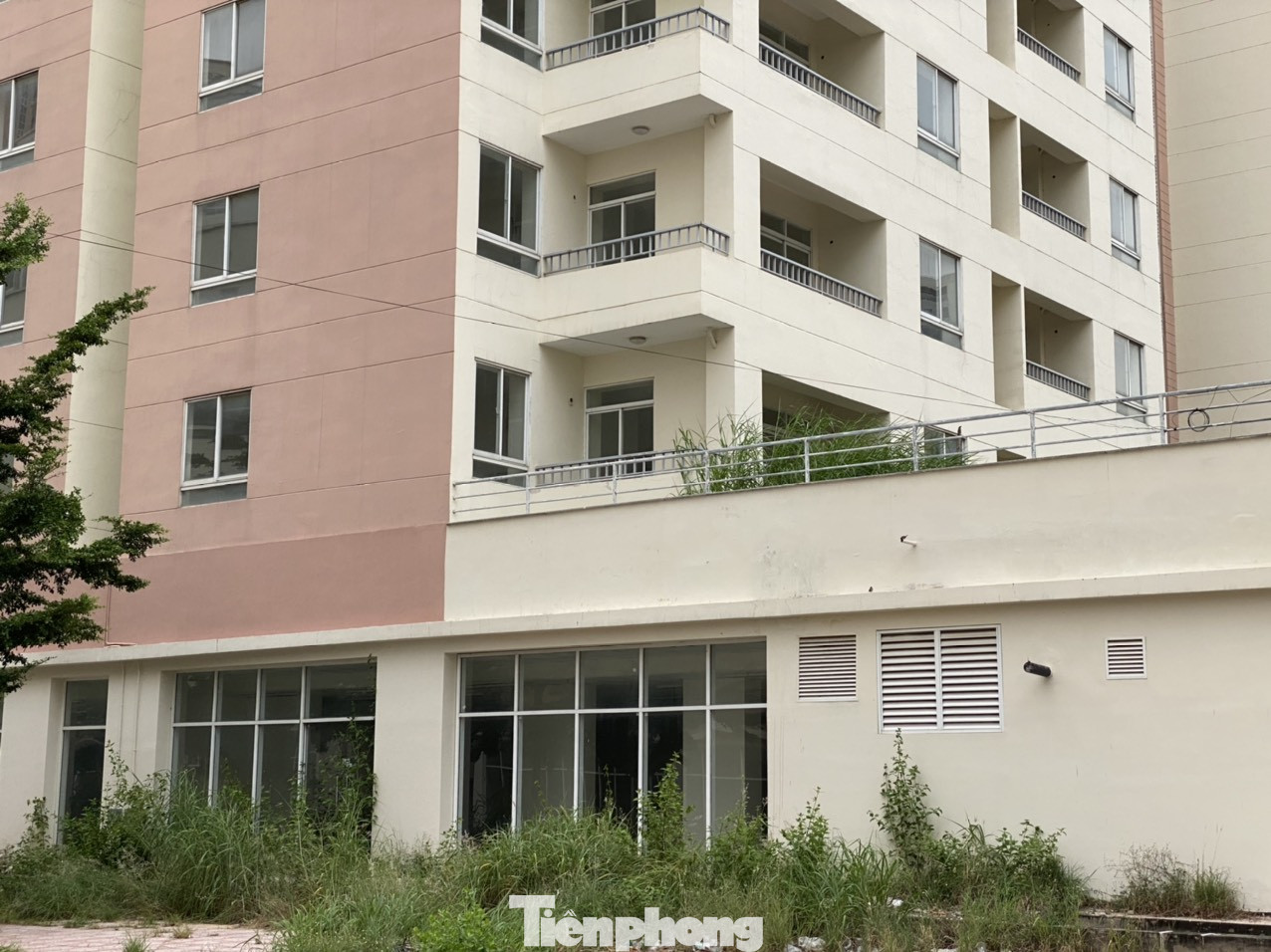 Cận cảnh các khu tái định cư tốn hàng chục tỷ bảo trì nhưng bỏ không ở Sài Gòn ảnh 19