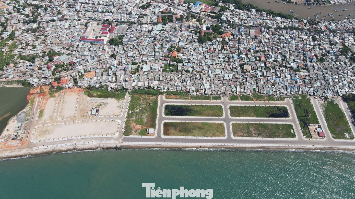 Lùm xùm về siêu dự án 123 ha ở Bình Thuận giao đất 'thần tốc' ảnh 2