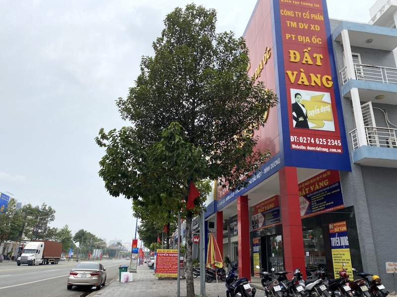 'Phố bất động sản' đìu hiu giữa mùa dịch COVID-19 ảnh 9