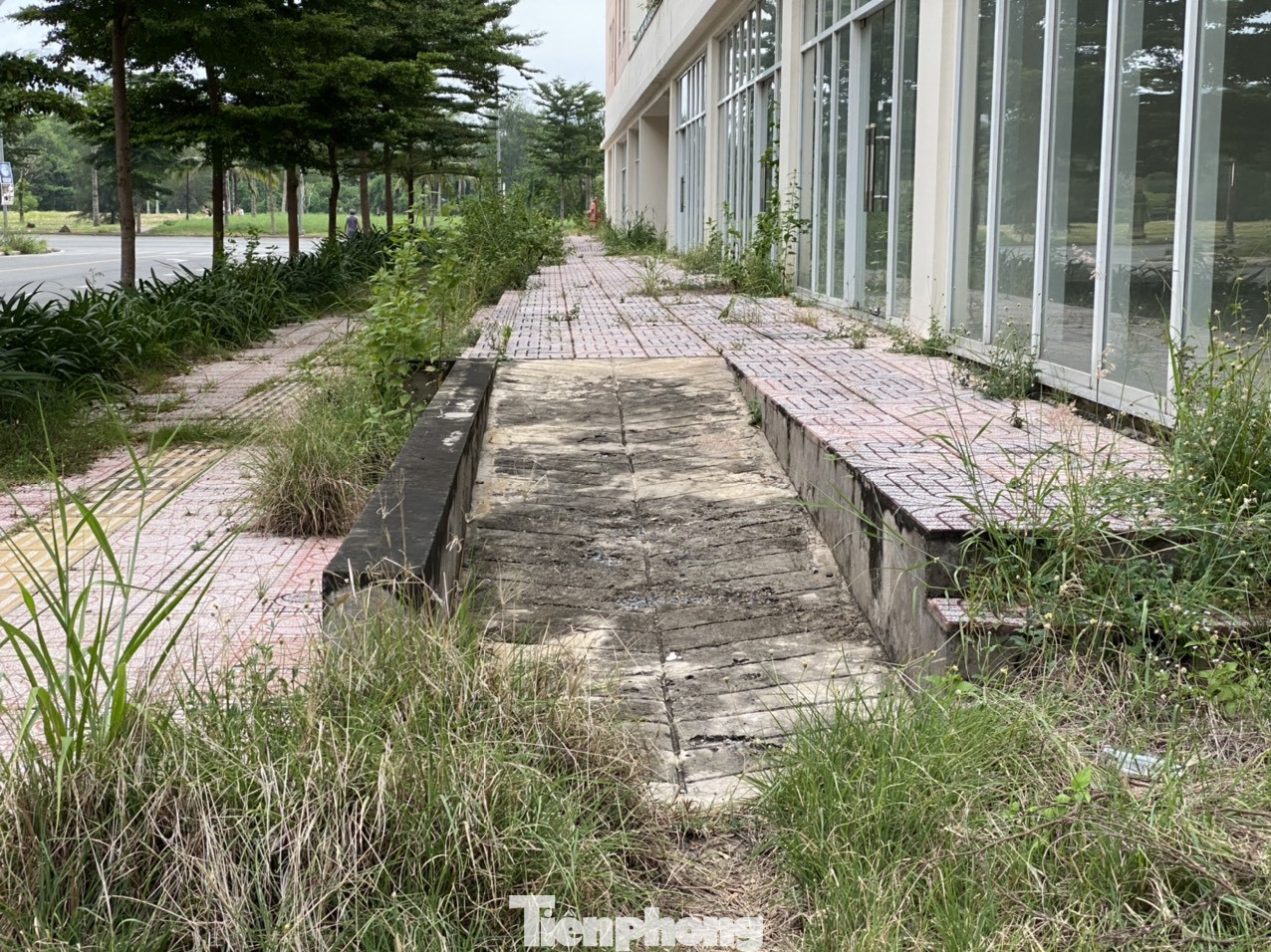 Cận cảnh các khu tái định cư tốn hàng chục tỷ bảo trì nhưng bỏ không ở Sài Gòn ảnh 2