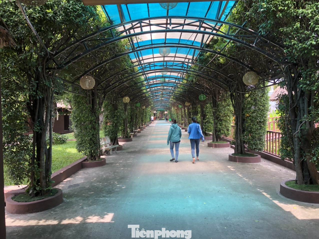 Nhà hàng ẩm thực lớn nhất Sài Gòn 'mọc' trên đất nông nghiệp ảnh 16