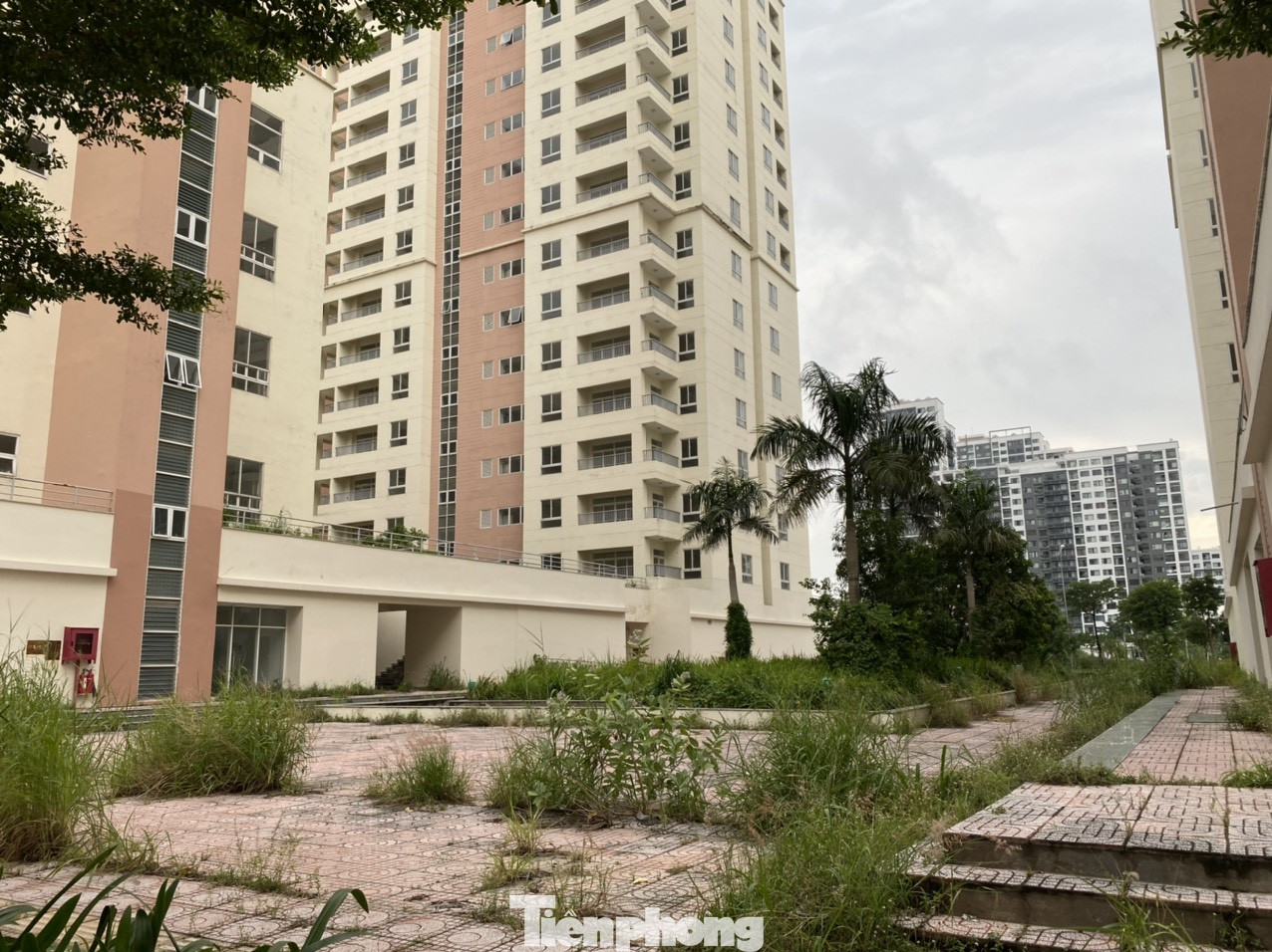 Cận cảnh các khu tái định cư tốn hàng chục tỷ bảo trì nhưng bỏ không ở Sài Gòn ảnh 7