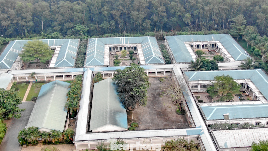 Chưa bàn giao, Bệnh viện Tâm thần TPHCM đã sụt lún như gặp động đất ảnh 24