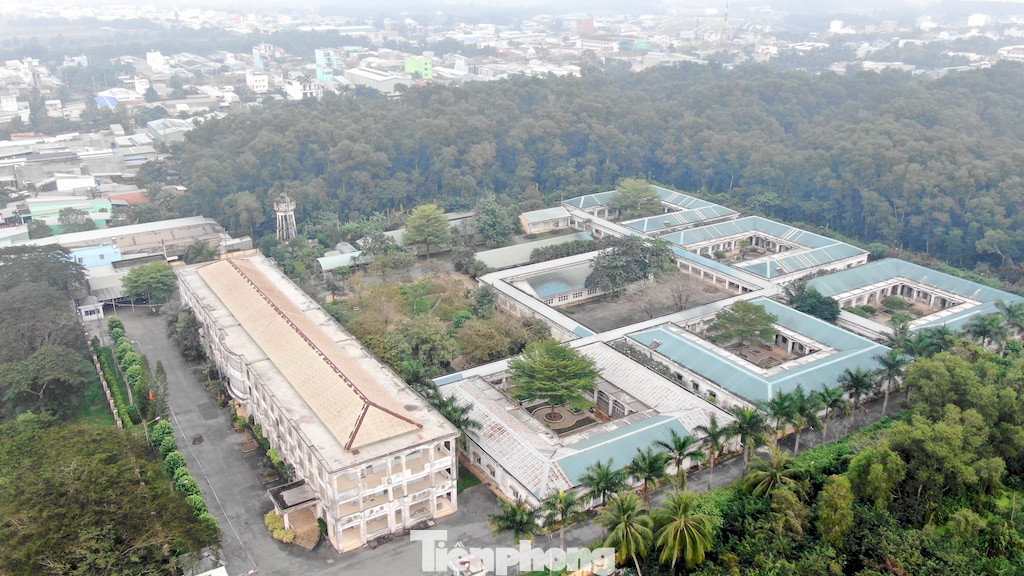 Chưa bàn giao, Bệnh viện Tâm thần TPHCM đã sụt lún như gặp động đất ảnh 23