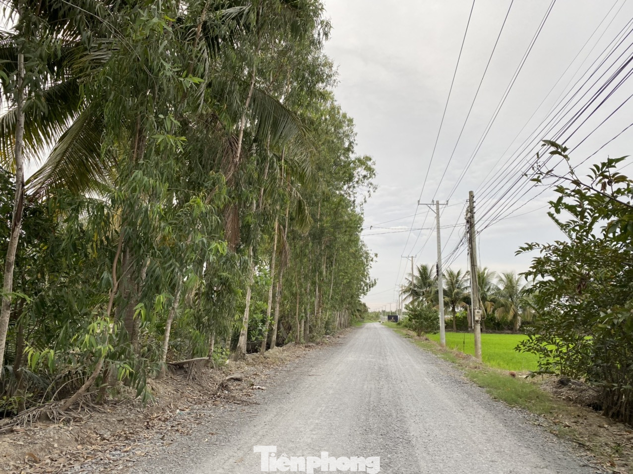 Tận thấy 'siêu' dự án King Bay 125ha chưa xong GPMB đã bán nhà tùm lum ảnh 7