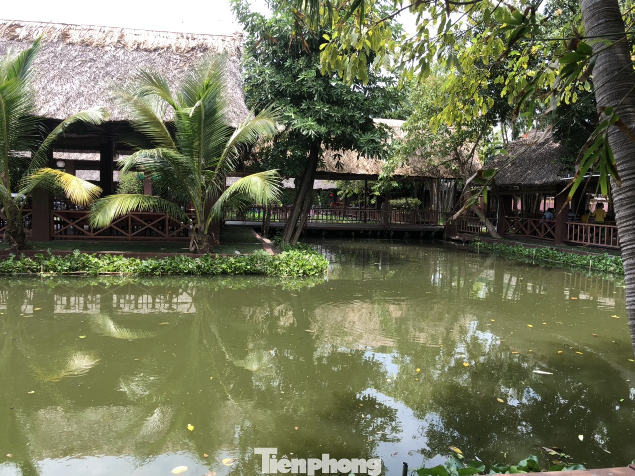 Nhà hàng ẩm thực lớn nhất Sài Gòn 'mọc' trên đất nông nghiệp ảnh 11