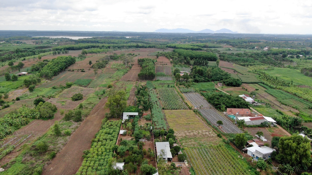 Cận cảnh khu đất hơn 1,8 nghìn ha đang thu hồi làm sân bay Long Thành ảnh 17