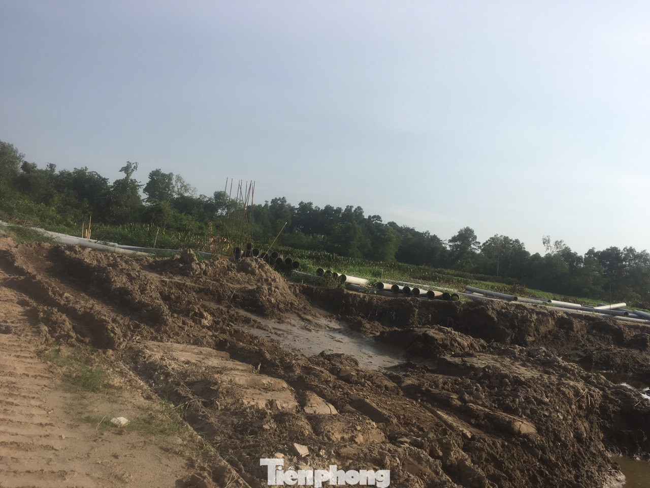 Bị Bộ Tư pháp 'tuýt còi', Vũng Tàu cho phép tách thửa trở lại ảnh 1