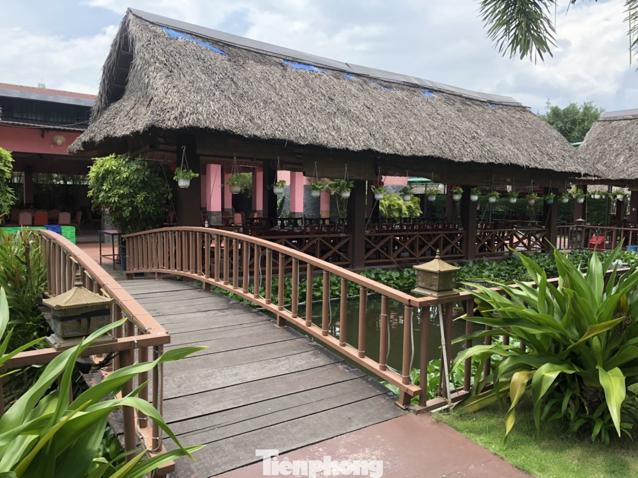 Nhà hàng ẩm thực lớn nhất Sài Gòn 'mọc' trên đất nông nghiệp ảnh 10