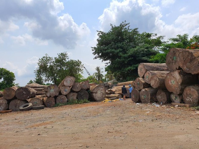 Thanh tra TPHCM kiến nghị xử lý tình trạng 'xẻ thịt' đất công viên ảnh 2