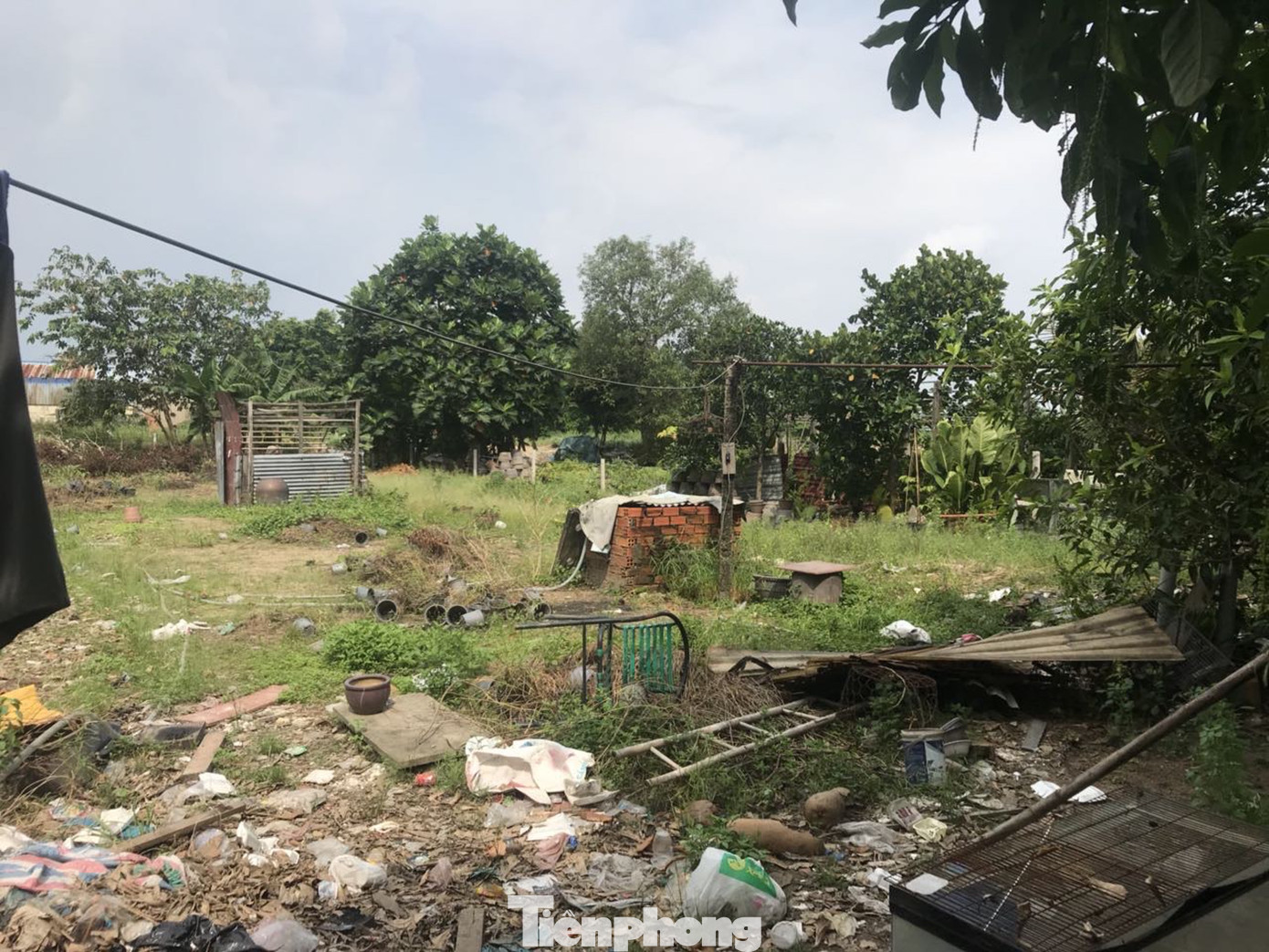 TPHCM: Mua đất được công chứng sang tên 'sổ đỏ' vẫn bị đòi lại ảnh 1